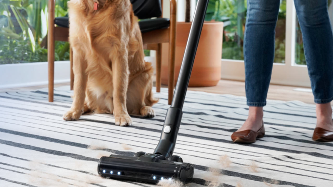 Best Cordless Vacuums 2022 Levoit Brings AirFiltration to Its First